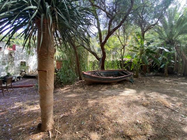 La Casa Del Molino De Viento Villa Agaete  Exterior foto