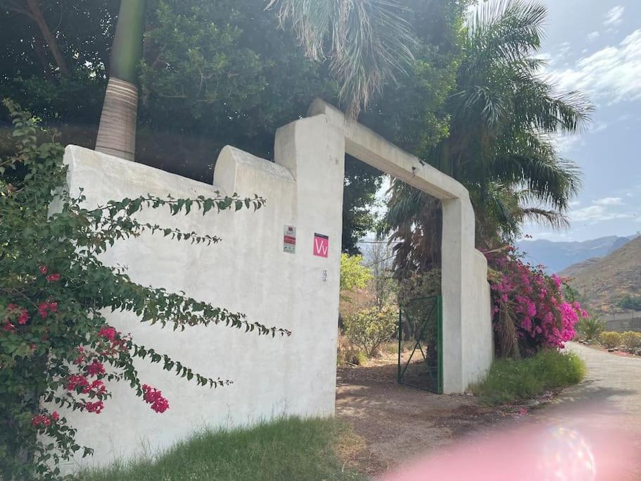 La Casa Del Molino De Viento Villa Agaete  Exterior foto