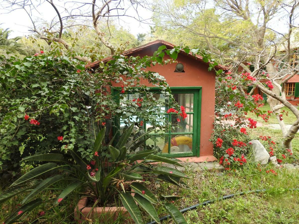 La Casa Del Molino De Viento Villa Agaete  Exterior foto